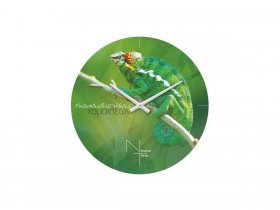 Часы настенные Nicole Time NT503 в Пролетарском - proletarskij.mebel-nsk.ru | фото